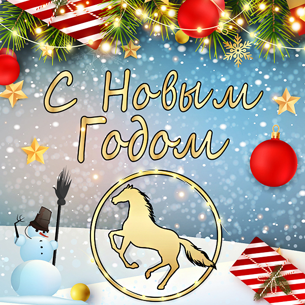 С НОВЫМ ГОДОМ! <u>(2026)</u>