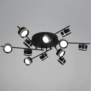 10590-0.3-12 Black светильник потолочный