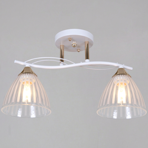 73460-0.3-02 WH+FG светильник потолочный