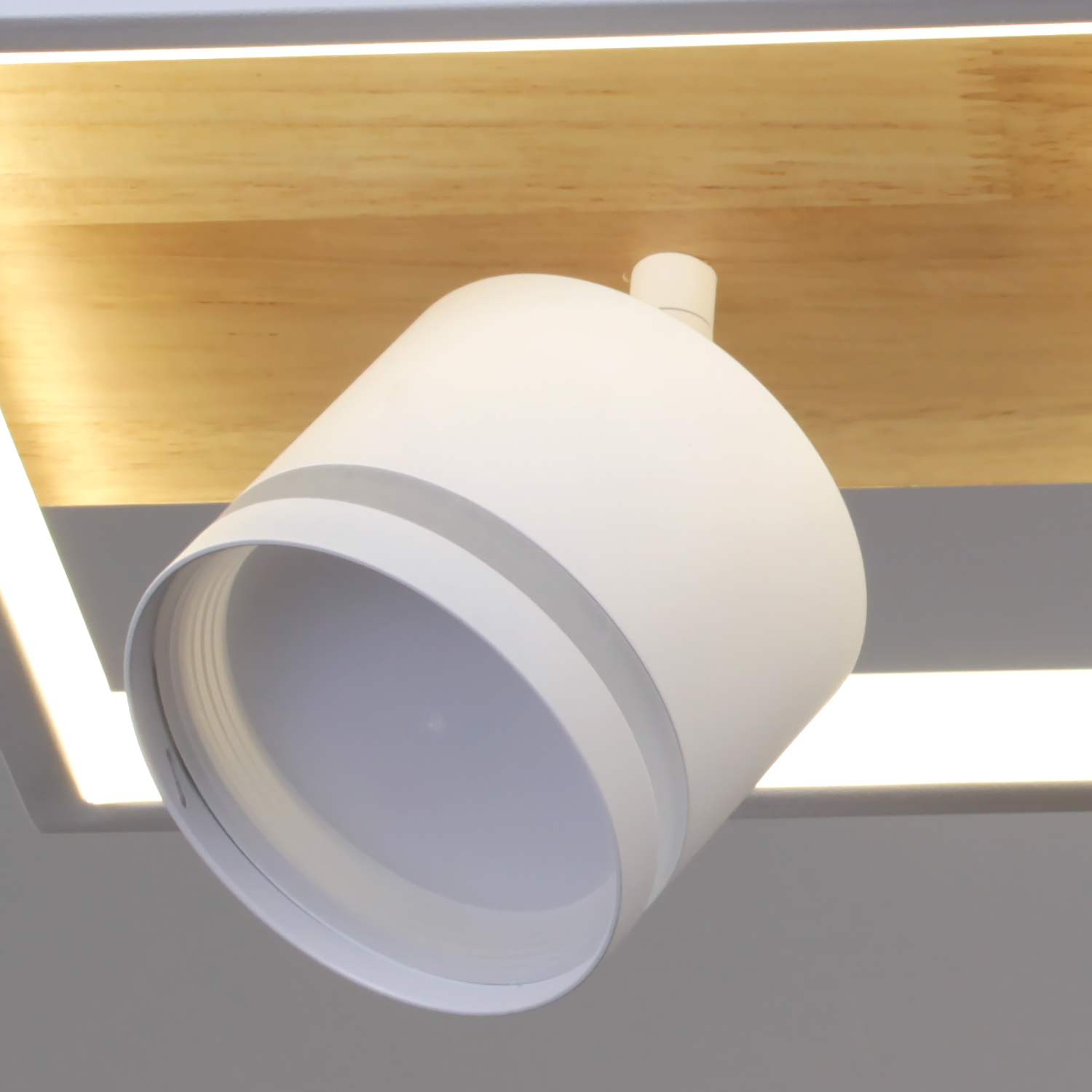 19560-0.3-2+2 WH+WOOD светильник потолочный