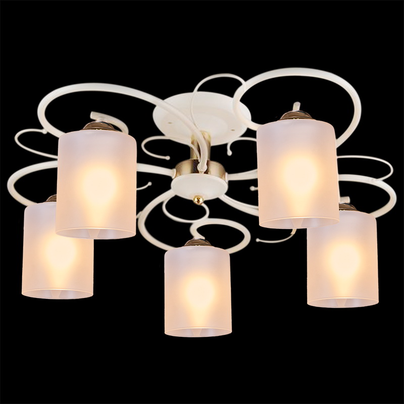 00738-0.3-05 "L" светильник потолочный