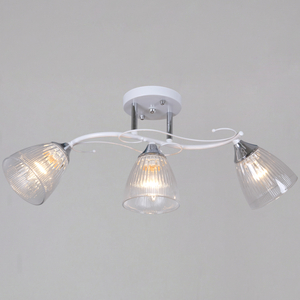 55560-0.3-03 WH+CR светильник потолочный