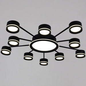 20590-0.3-5+5+1 Black светильник потолочный