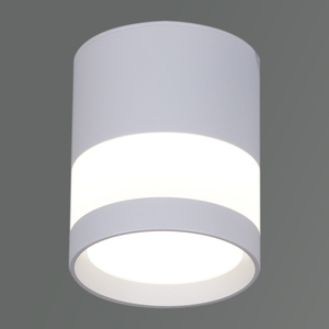 81154-9.5-001MN LED12W WH светильник точ.