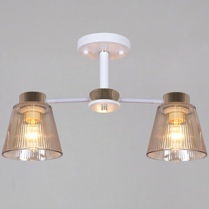 20560-0.3-02 WH+FG светильник потолочный