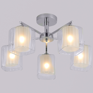 55670-0.3-05 светильник потолочный