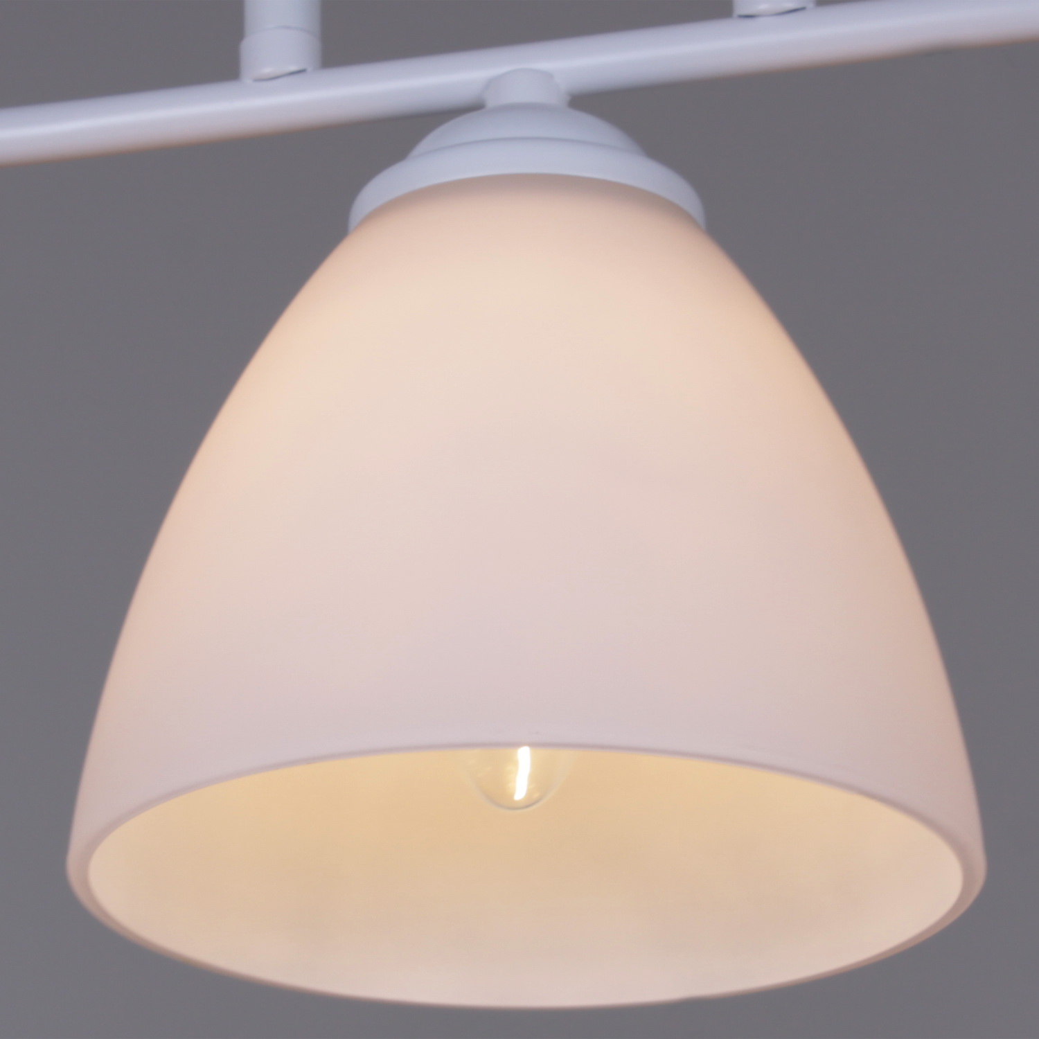 44560-0.3-03 WH светильник потолочный