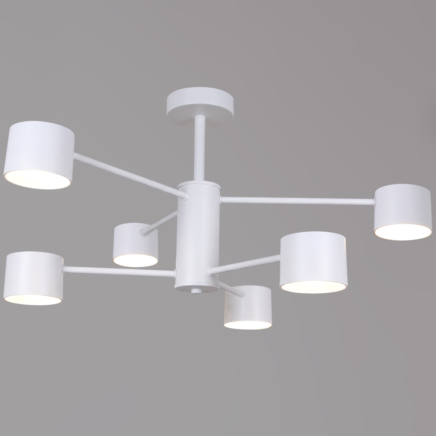 47206-0.3-06WT светильник потолочный