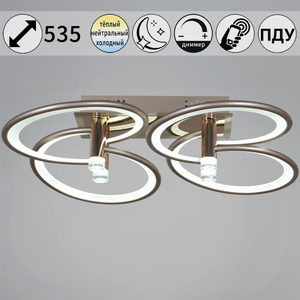 09253-0.3-4S Champaign silver светильник потолочный