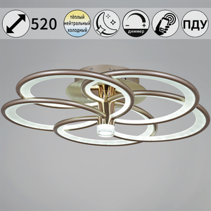 09246-0.3-5S Champaign silver светильник потолочный