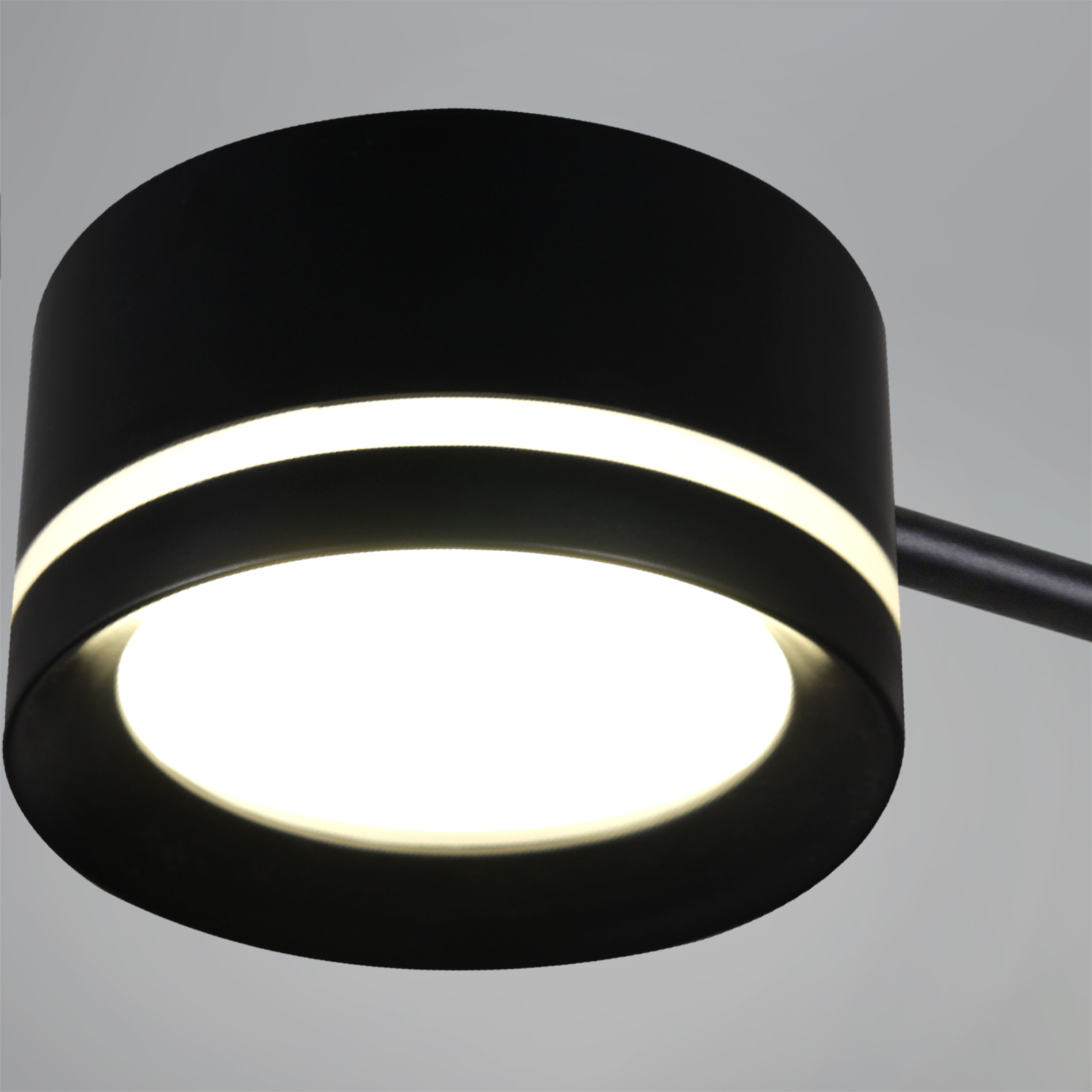 20590-0.3-3+3+1 "L" Black светильник потолочный