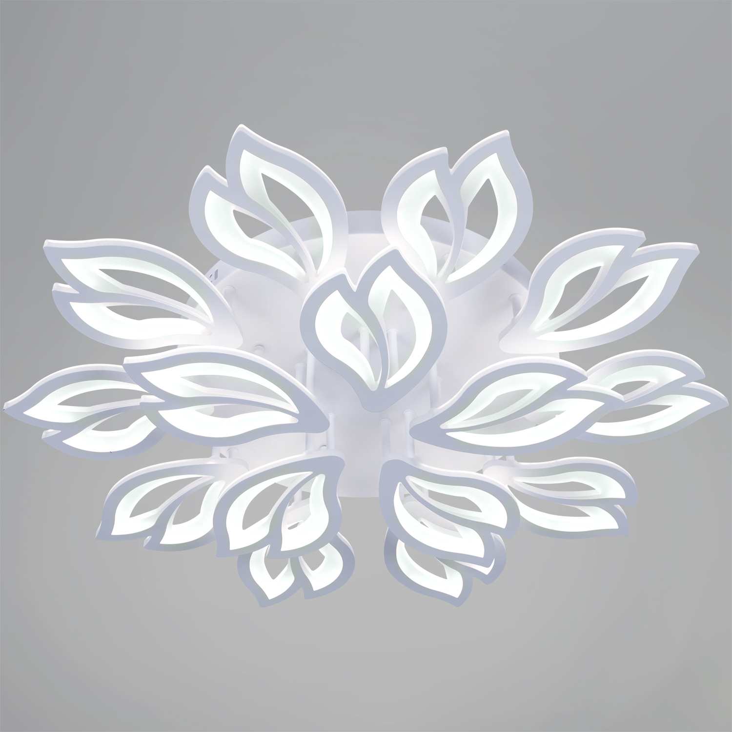 10150-0.3-10+5 WH светильник потолочный