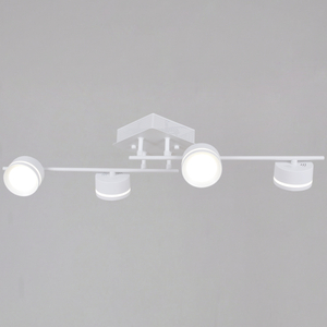 10590-0.3-04 White светильник потолочный